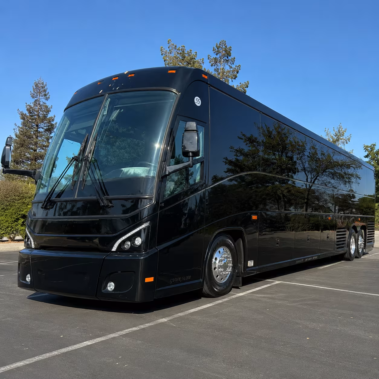 easter christmas high attendance service transportation